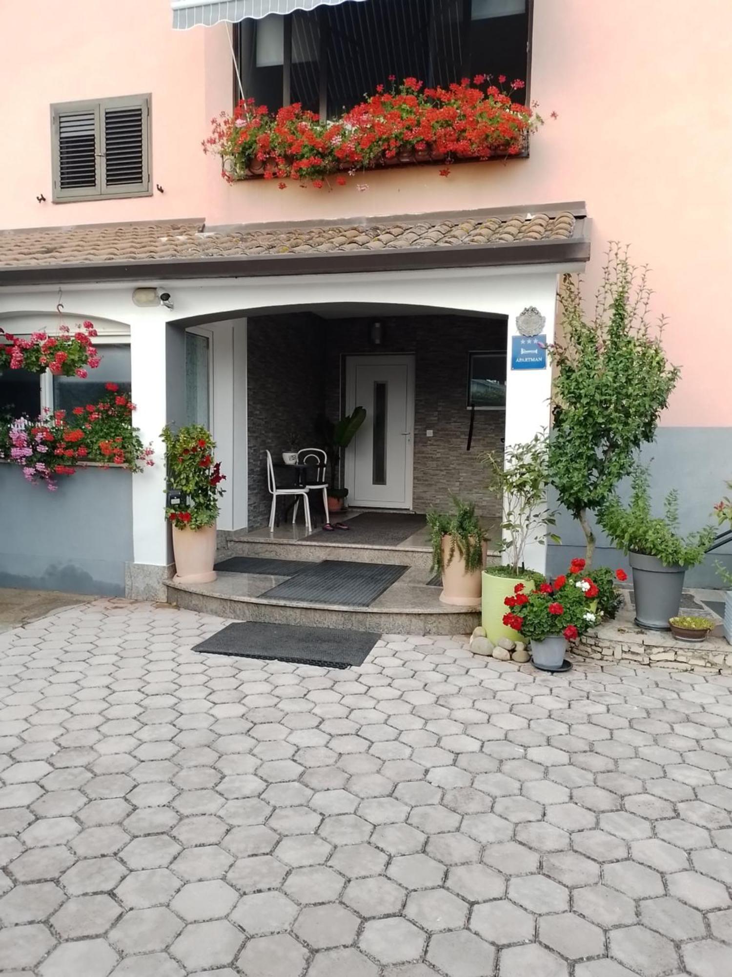 Apartmán Olga