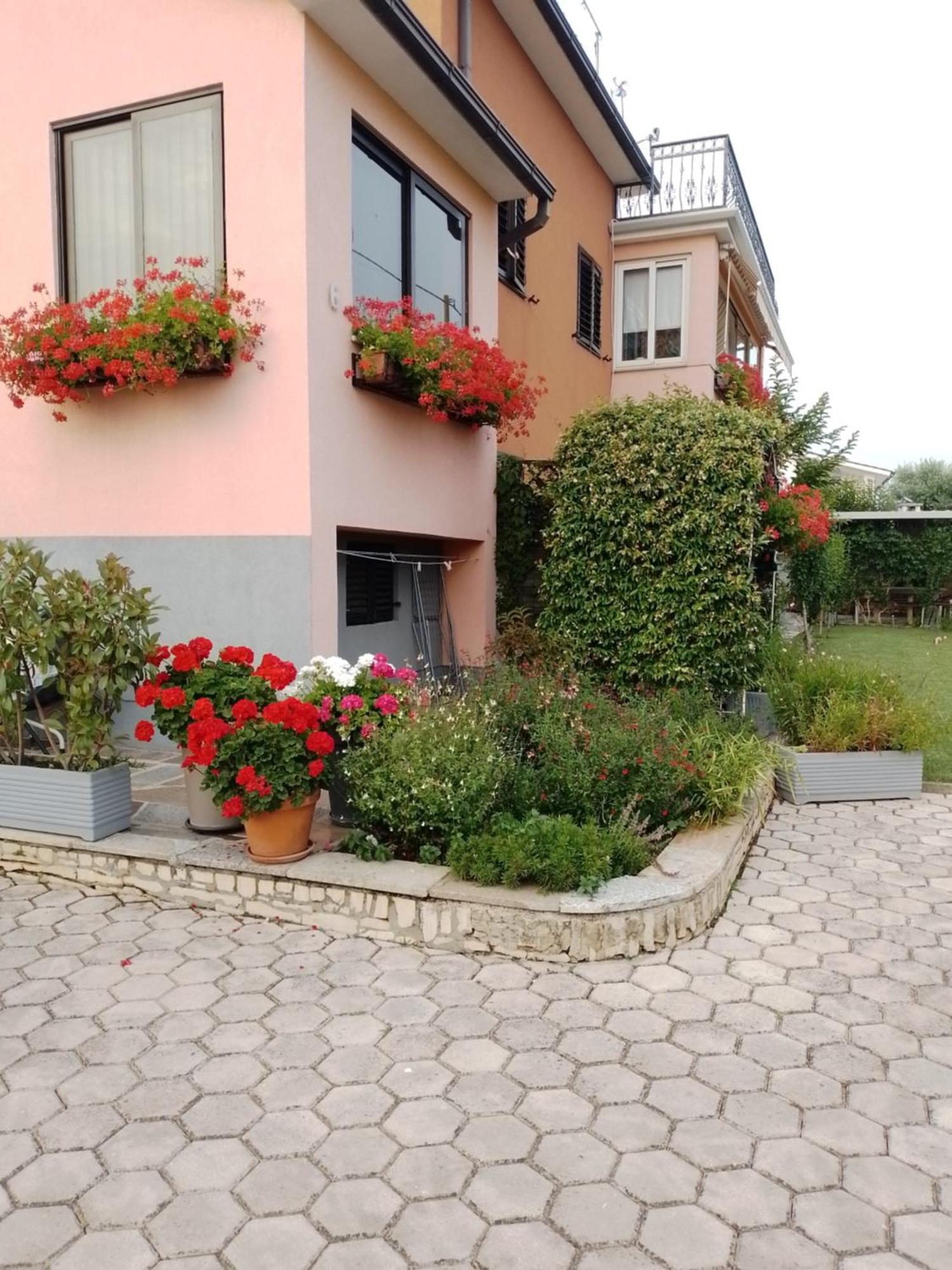 Apartmán Olga *